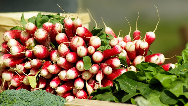 Radishes