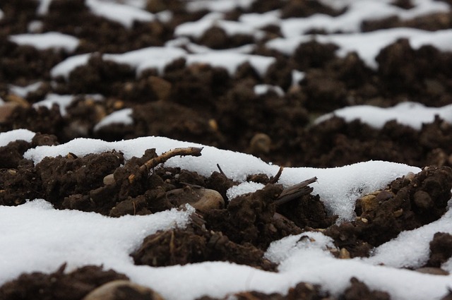 Frozen Soil