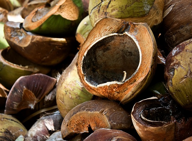 Coconut Coir