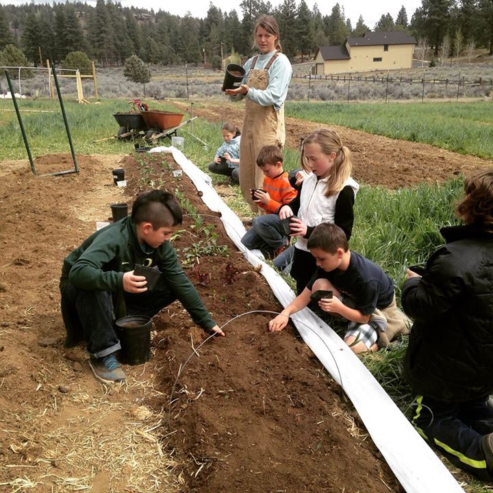 Kids Gardening